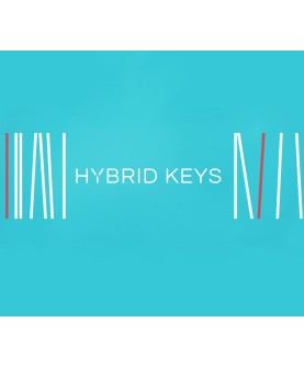 Native Instruments Hybrid Keys /MAC Key GLOBAL